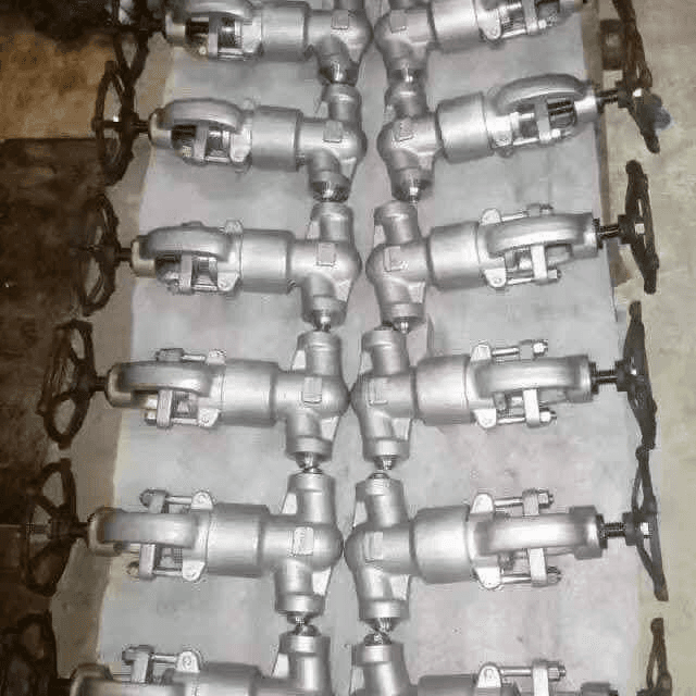 Bellow seal globe valve in UAE