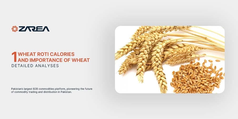 1 Wheat Roti Calories and Importance of Wheat 