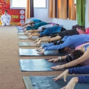 Best 300 Hour Yoga Teacher Training in Rishikesh
