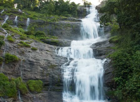 4 Day Escape Hills Tea Gardens & Wildlife in Kerala