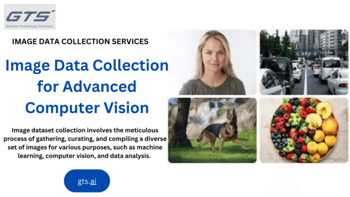 Exploring the Importance of Image Datasets in Machine Learning