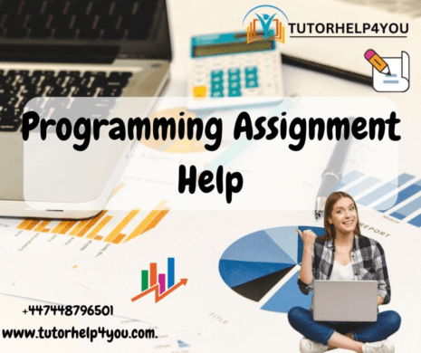 Programming Assignment Help