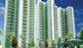  Discover Tranquil Luxury: 2 & 3BHK Flats in Sector 80, Gurgaon