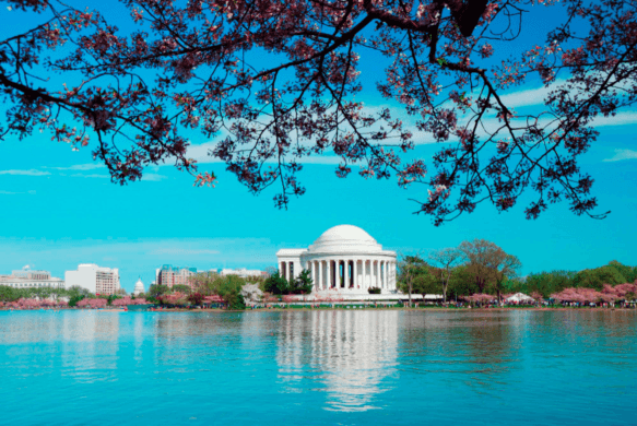 5 Reasons to Pre-book your sightseeing tours to Washington DC