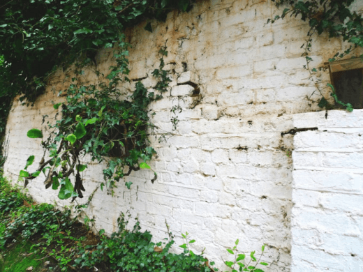  Choose the Right Party Wall Surveyor for Your London