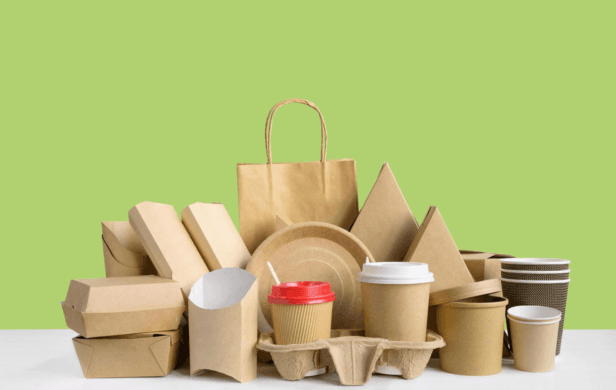 Paper Food Boxes: Sustainable Packaging Solutions by Polypack Enterprises