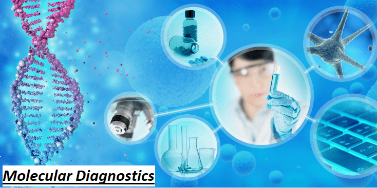 Comprehensive Report on Latin America Molecular Diagnostics Market Forecast to 2031 - Meticulous Res