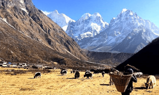 Kanchenjunga Circuit Trek