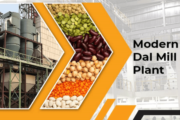 How to Establish a Dal Mill Plant to Expand Your Grocery Business?
