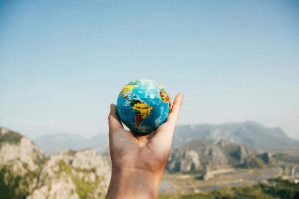 Travel Reviews of Five Tours