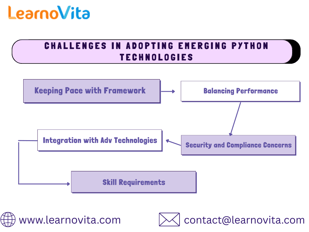 Future of Python Development
