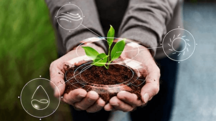 Sustainable Development Goals: A Way Forward