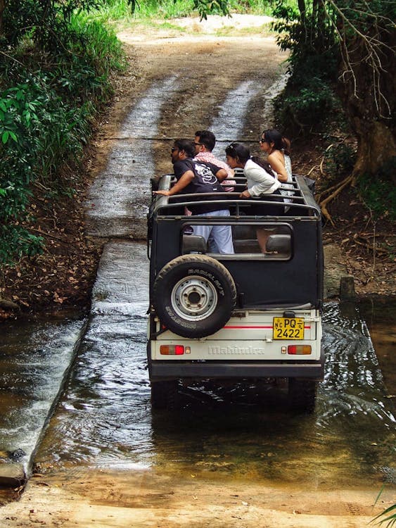 Cultural and Festival Tourism
