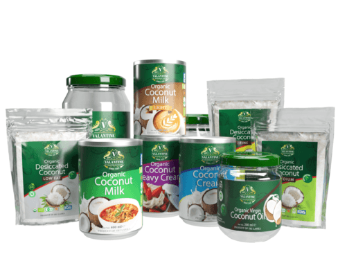 Understanding the Countless Benefits of Coconut