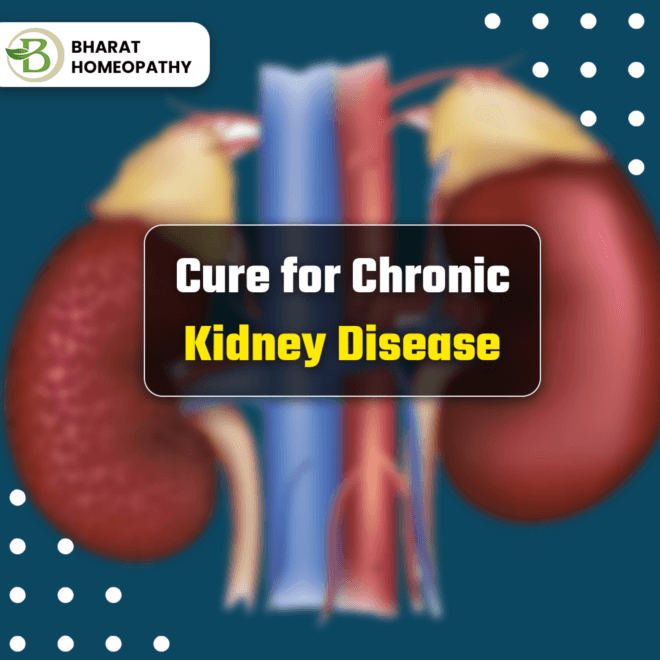 Exploring Alternative Kidney Failure Treatment Without Dialysis: Medication Beyond Dialysis