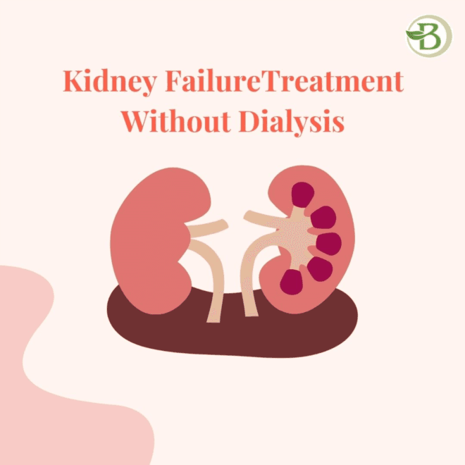Treatment For Kidney Failure: Natural Medication for Kidney Diseases At Bharat Homeopathy