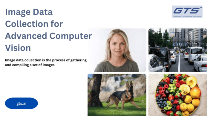Unlocking the Potential of Hand Gesture Image Datasets in AI: A Comprehensive Exploration