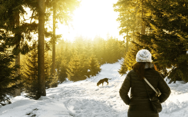 Stay Focused and Energized During the Winter Months