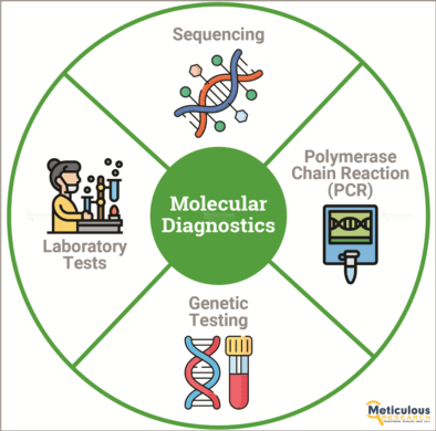 Asia-Pacific Molecular Diagnostics Market : A Comprehensive Analysis by Meticulous Research