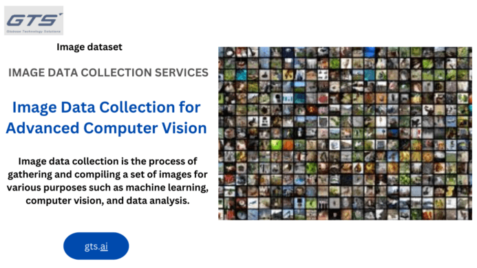  Leveraging Image Datasets: Unveiling the Power of Visual Data in AI