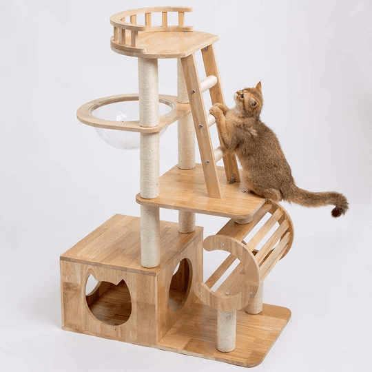The Benefits of a Wooden Cat Tree for Your Feline Friend