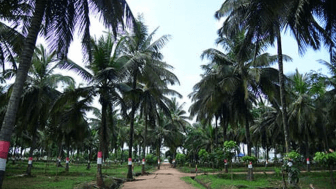 The Art of Sustainable Farming: Insights from Our Managed Farmland