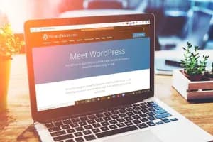 ZenoidsTechnologies