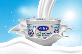  Fresh Cup Curd in Delhi Arvind Dairy