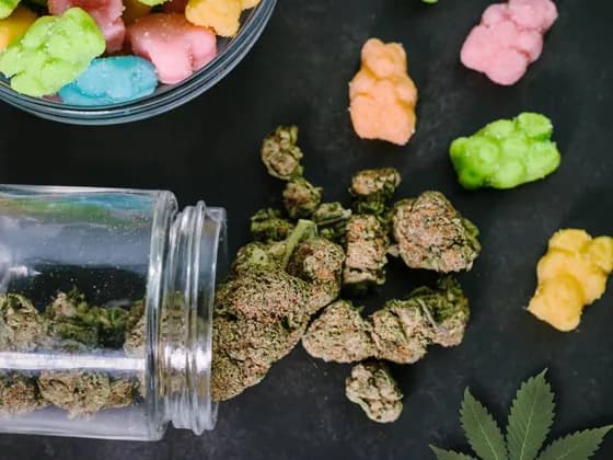 The Science Behind CBD Gummies