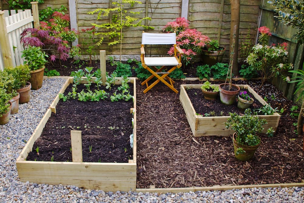 Role of Vegetable Garden Software in Efficient Gardening