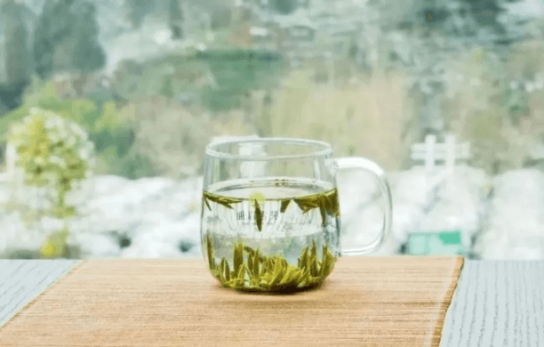 How to Properly Store Green Tea?