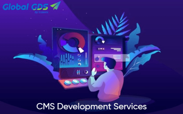CMS Development Services