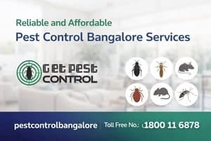 Reliable and Affordable Pest Control Bangalore Services