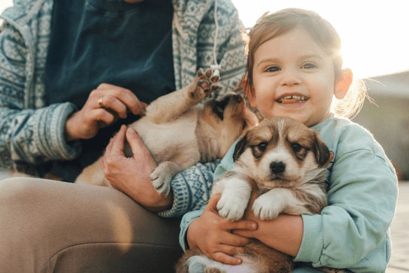 How to Choose the Right Pet for Your Lifestyle