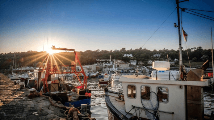 Puthiyappa Fishing Harbour: Malabar’s Coastal Jewel