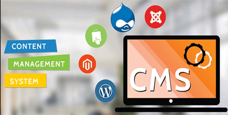 CMS Websites Portfolio Singapore