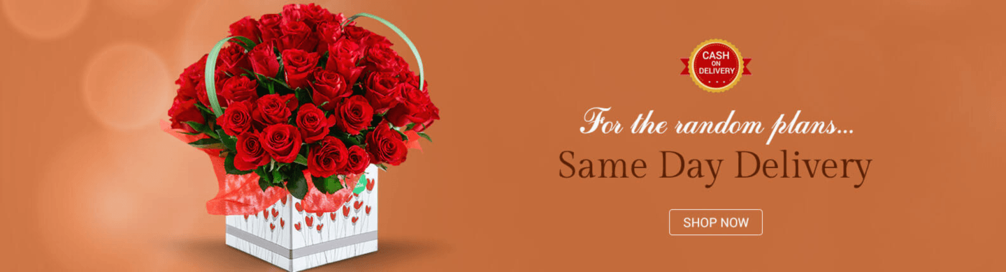 Order Flowers online in Dubai | Online Florist - Ferns N Petals