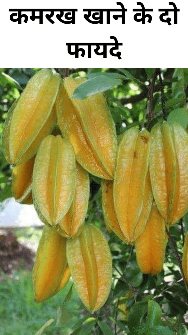 Two benefits of eating star fruit