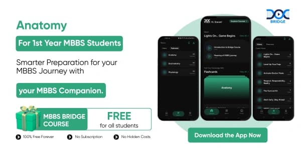 Anatomy Simplified: 1st Year MBBS, Freshers & Study Tips